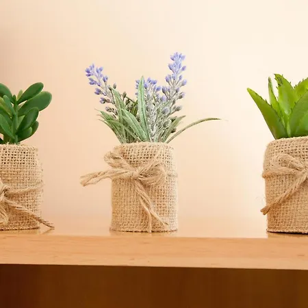 Lea Starigrad Paklenica