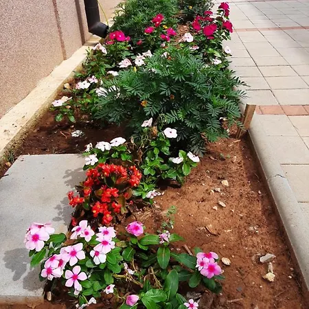 Appartement Lea Starigrad Paklenica