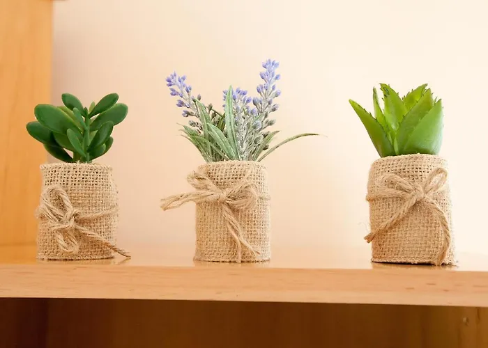 Lea Starigrad Paklenica