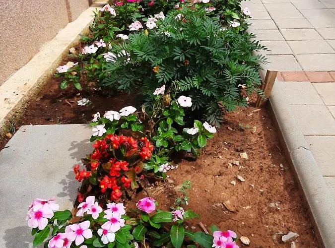 Apartamento Lea Starigrad Paklenica